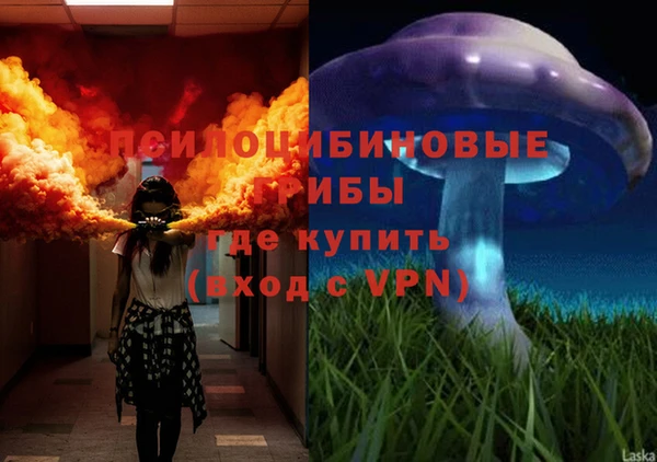твердый Алексин