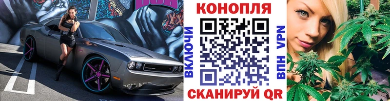 Бошки Шишки сатива  наркота  Ливны 